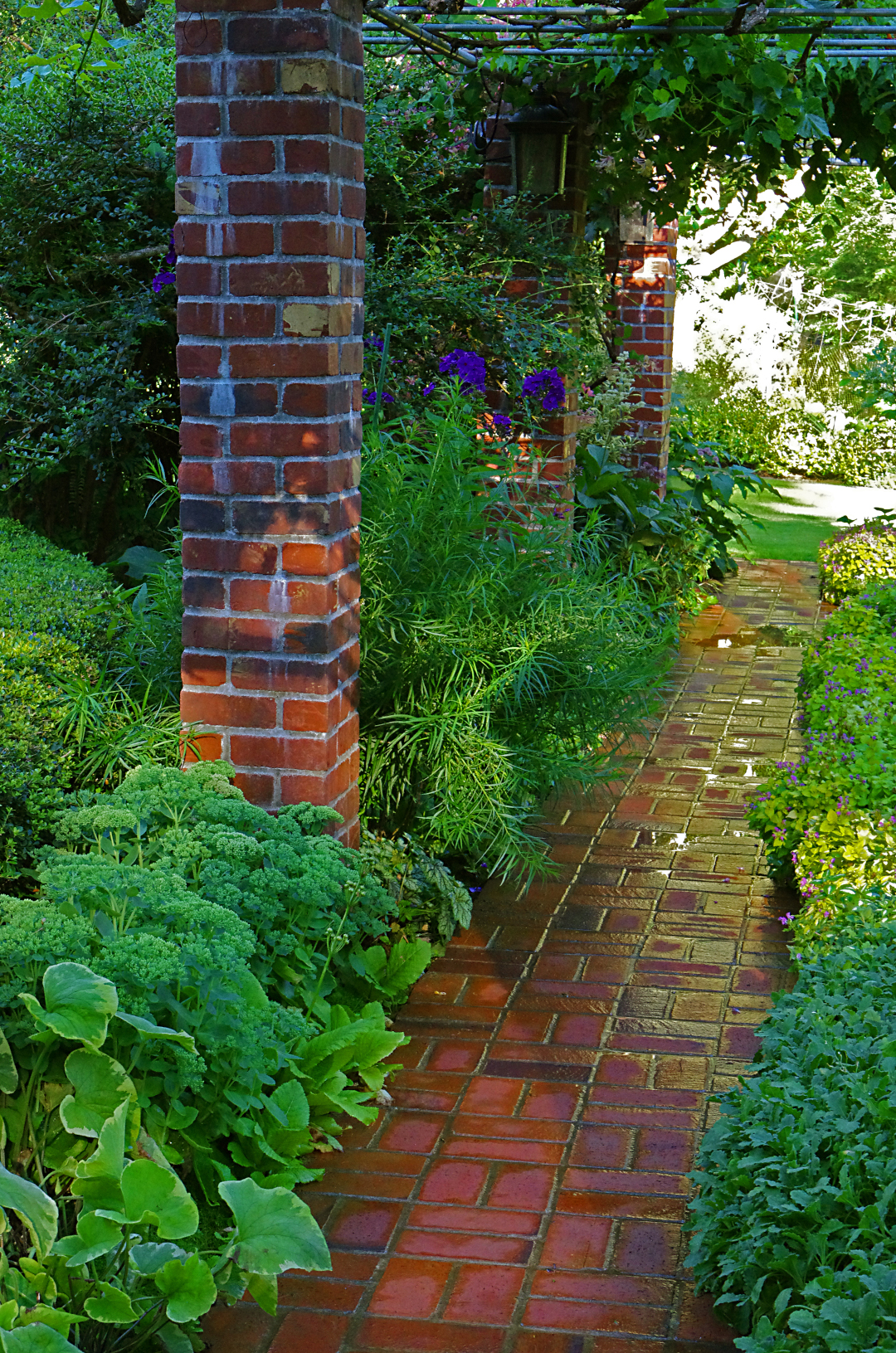 brick path in the garden