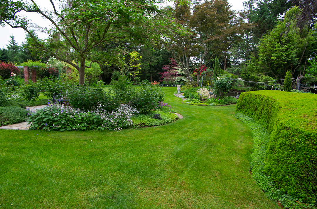 Mown grass paths