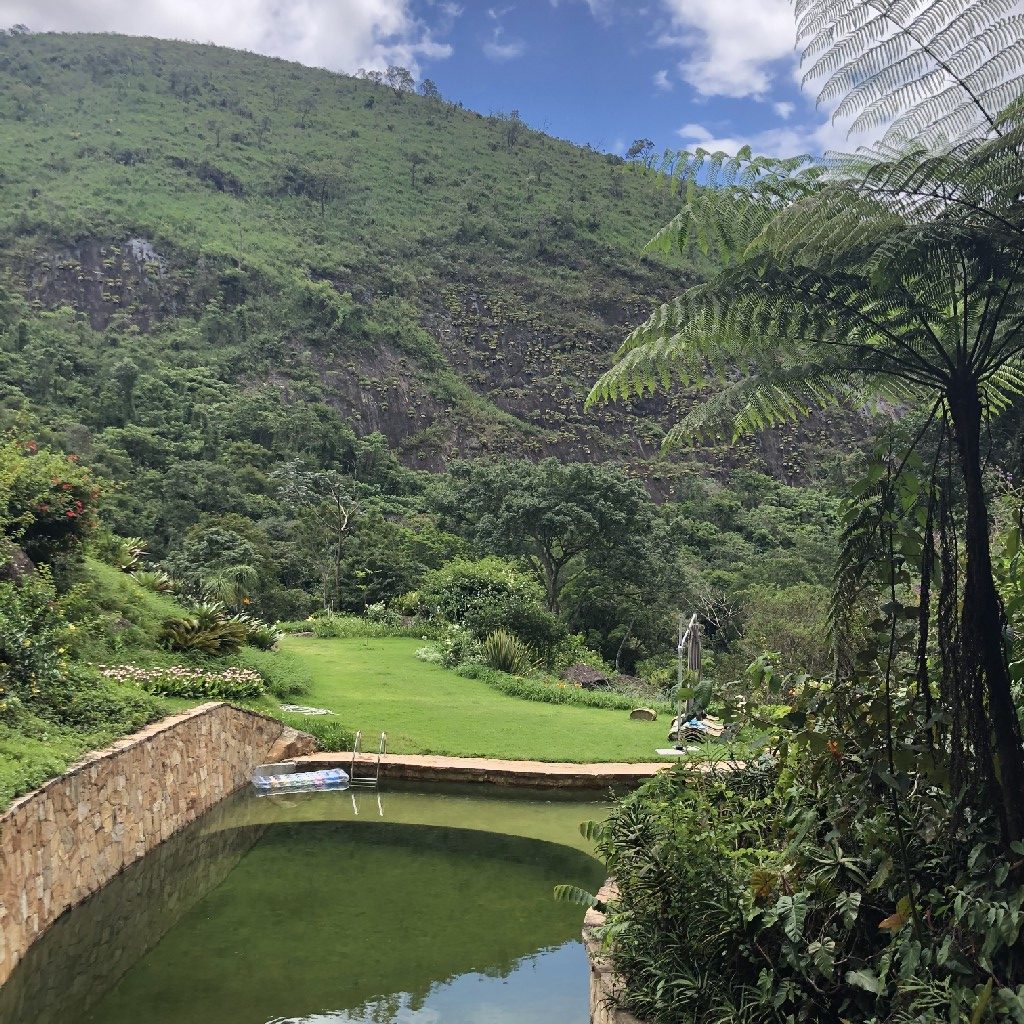 Brazilian landscape