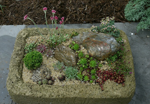 trough planter