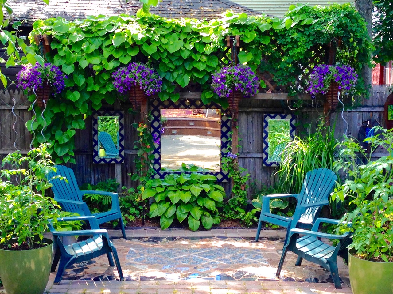 Arbor of climbing vines