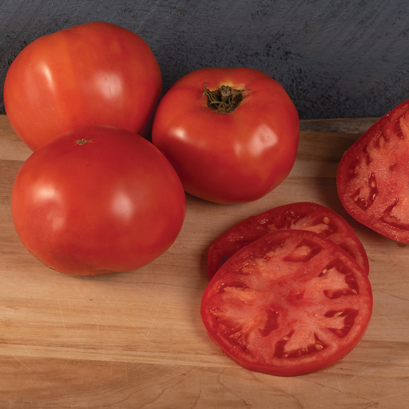 5 Great New Tomato Varieties - FineGardening