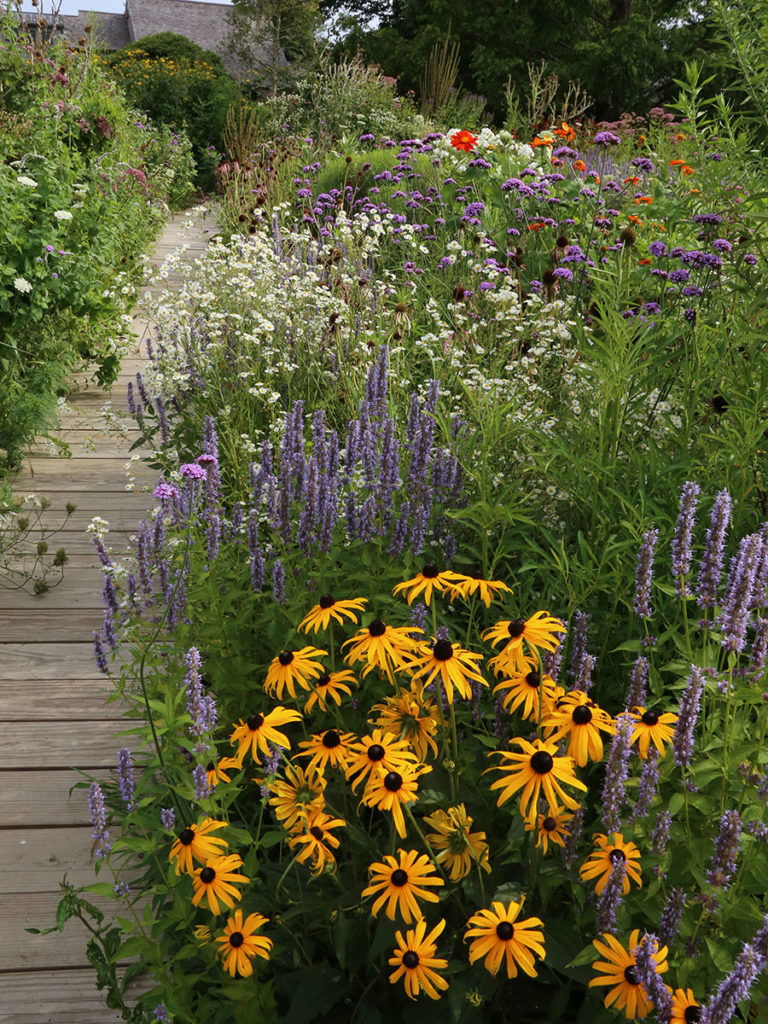 Designing a Stylish Pollinator Garden - FineGardening