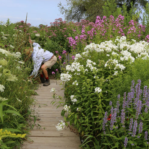 The author works to clear the walkway.