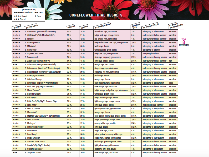 coneflower trial results