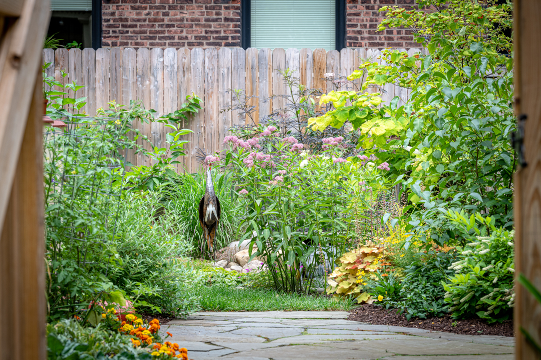 A Planted Fence - FineGardening