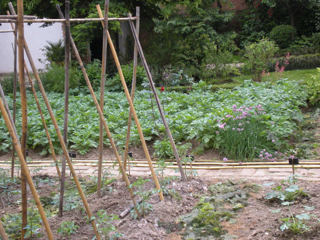 Vegetable garden