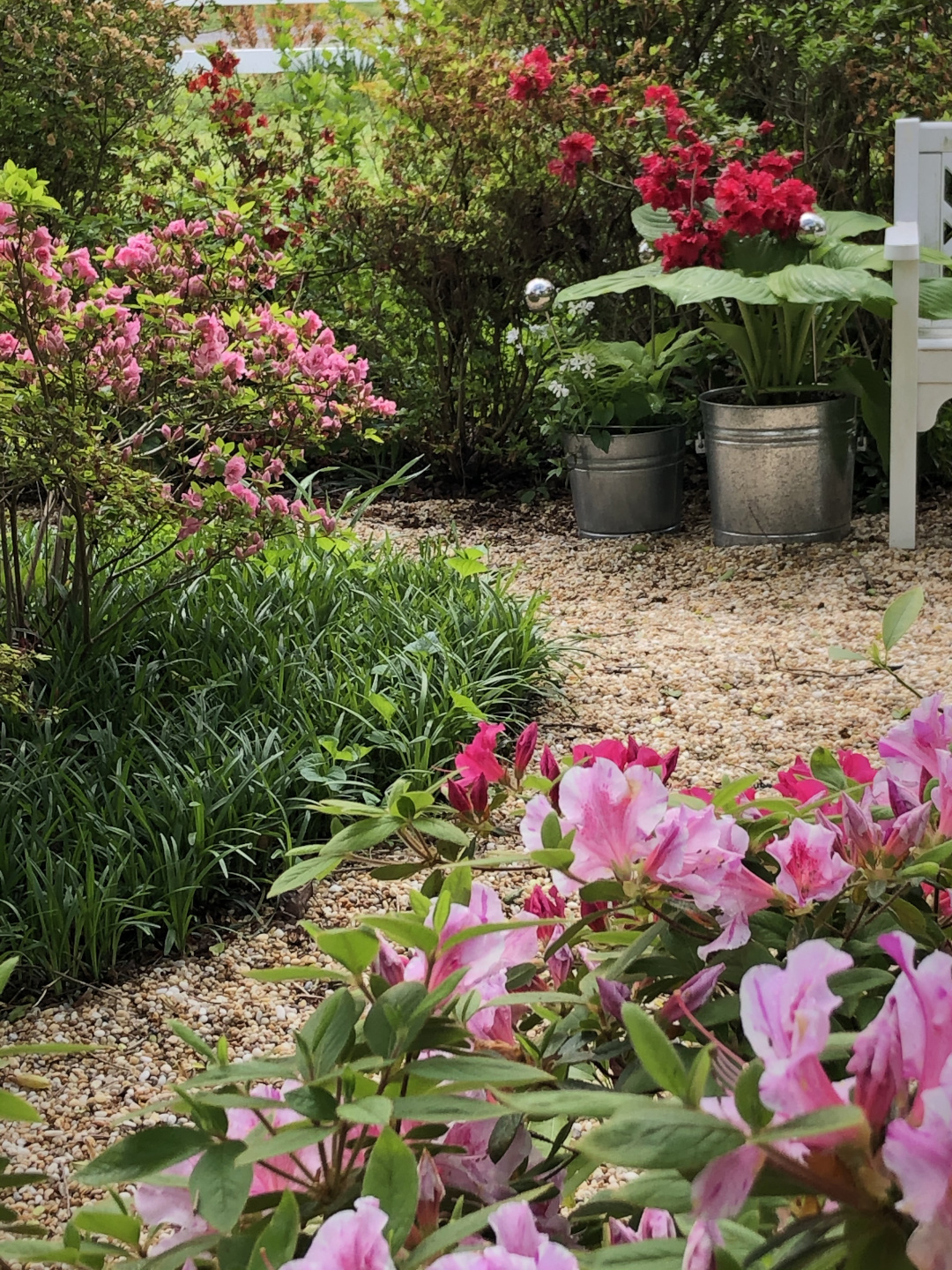 garden pathway