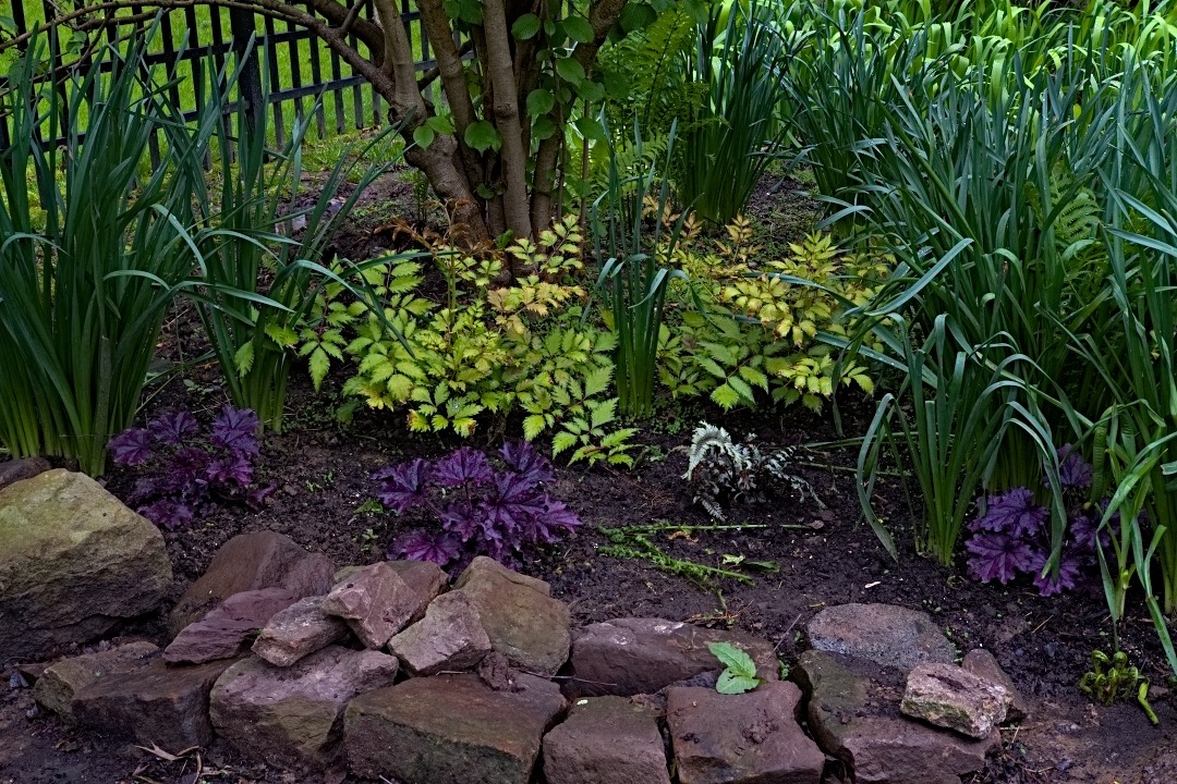 bog garden