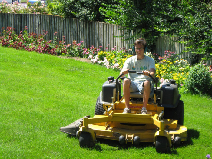 Maintaining a healthy lawn reduces disease and pest problems