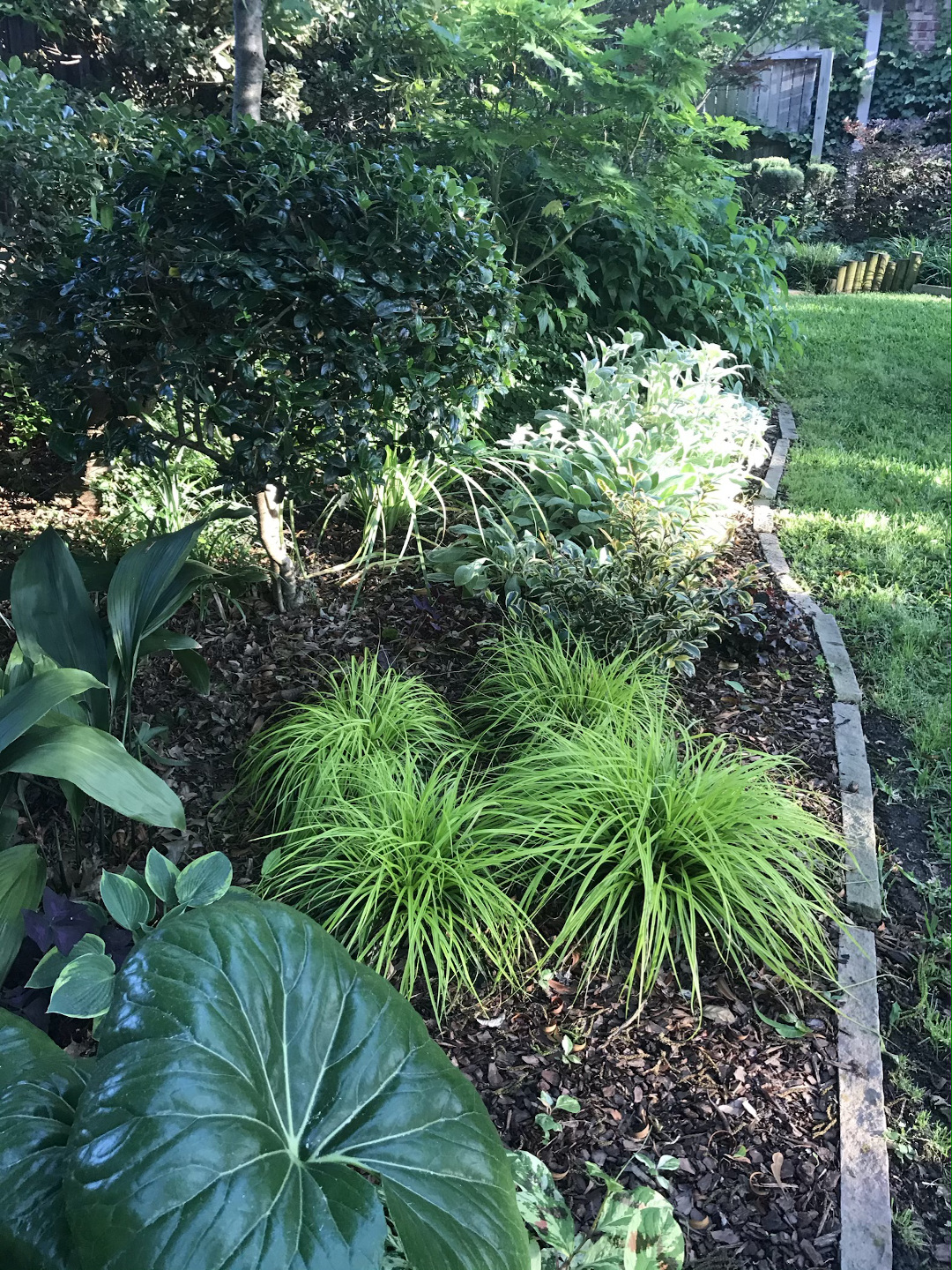 foliage bed