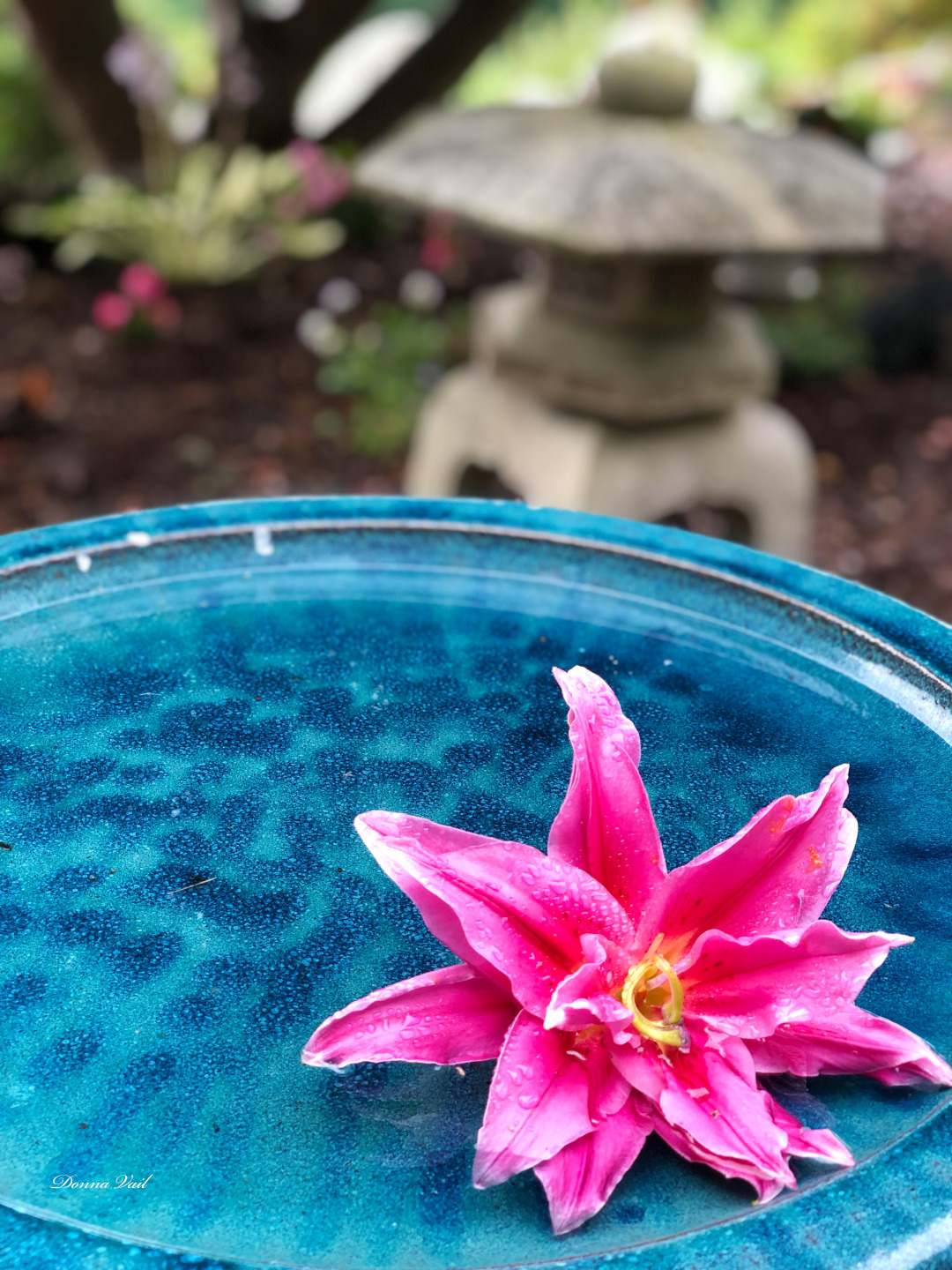 double flowered lily blossom