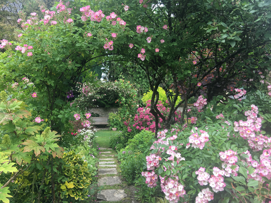 french garden flowers