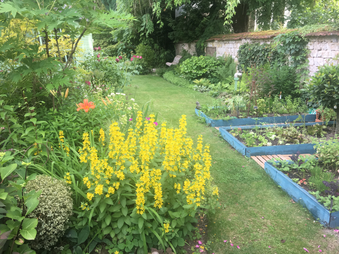 Marie-Antoinette’s vegetable garden replica