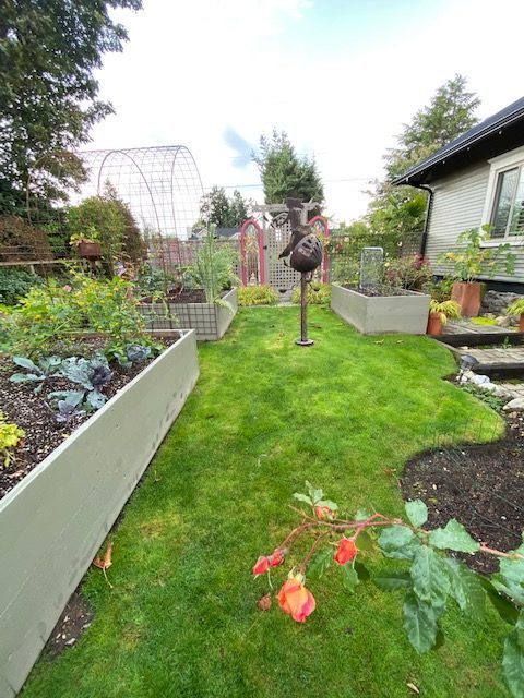 Planter boxes with vegetables