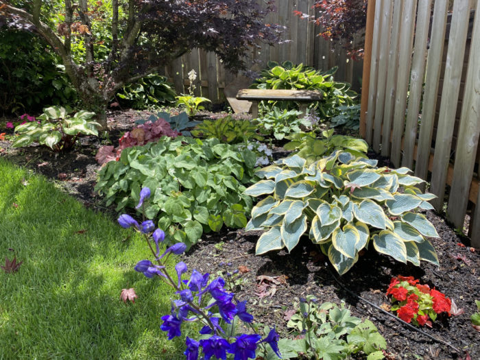 Before and After in Oregon - Fine Gardening