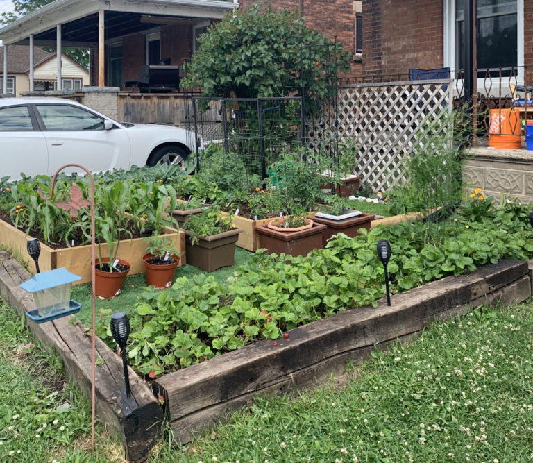 Small Space, Big Yields - Fine Gardening