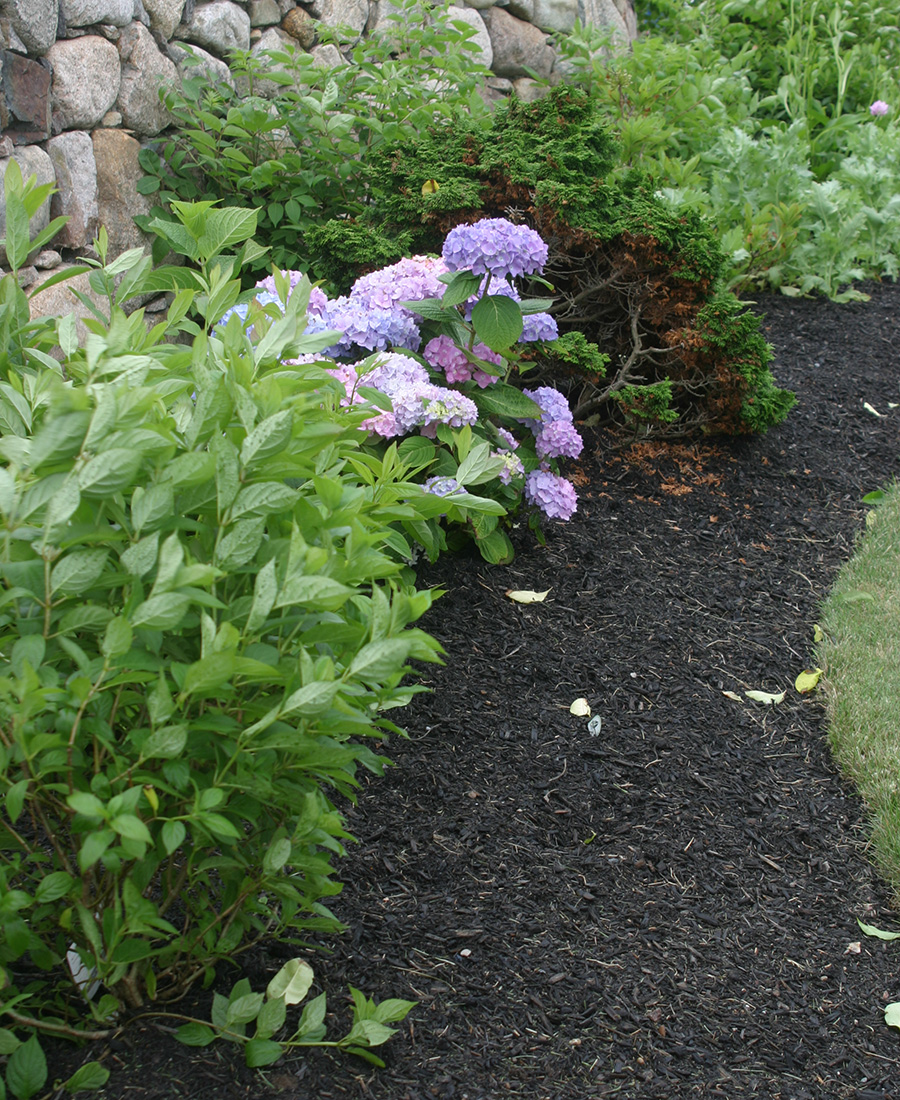 Image of Black mulch in a parking lot