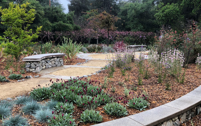 mulched garden bed