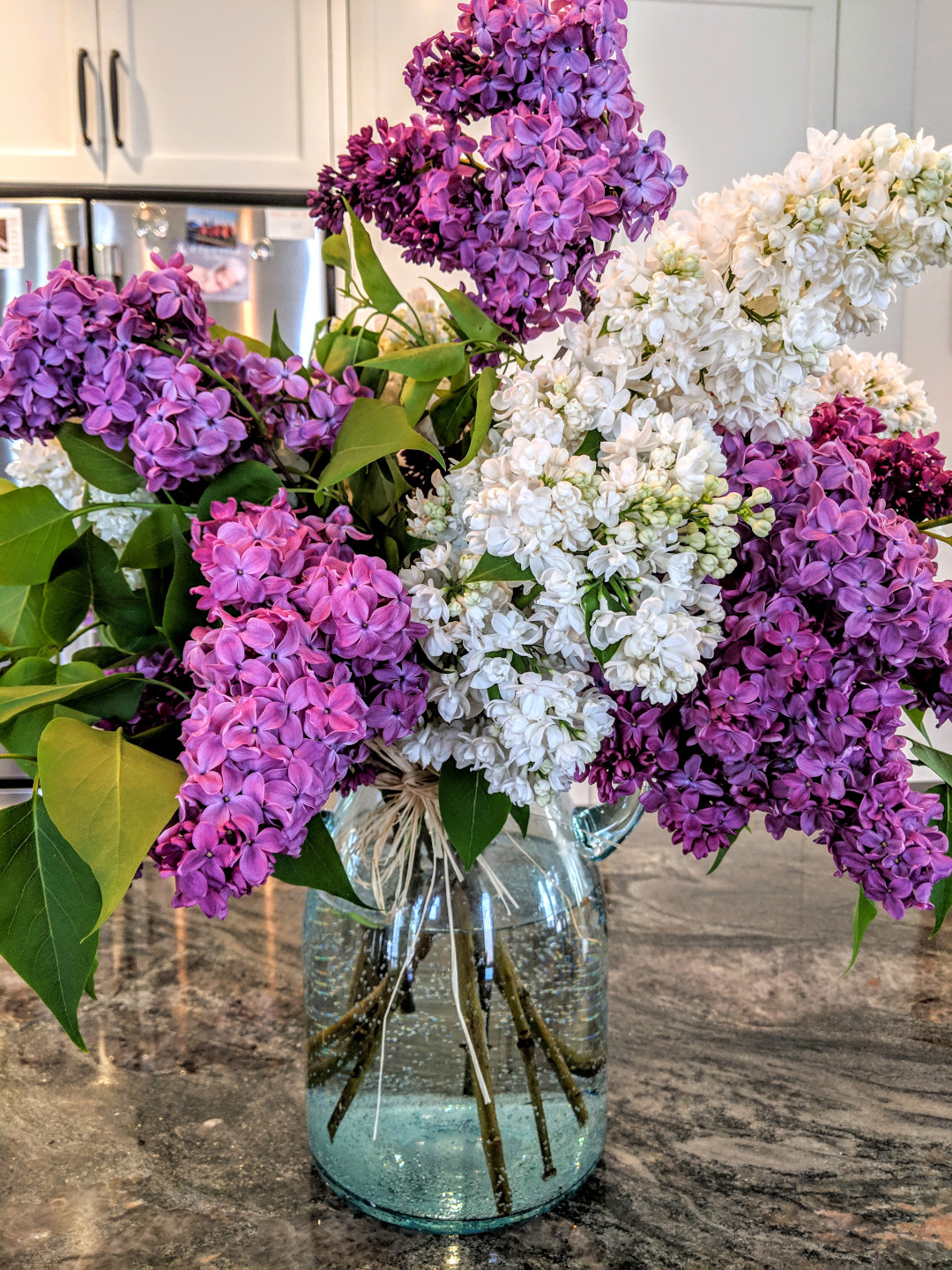 vase of lilacs