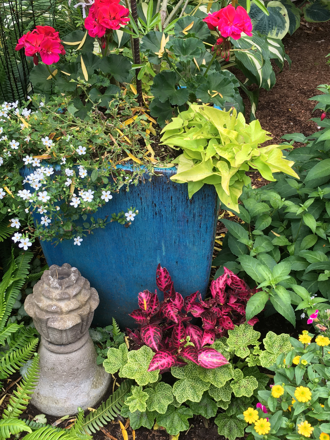 mixed planting of annuals