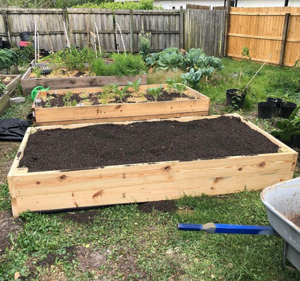 planting box