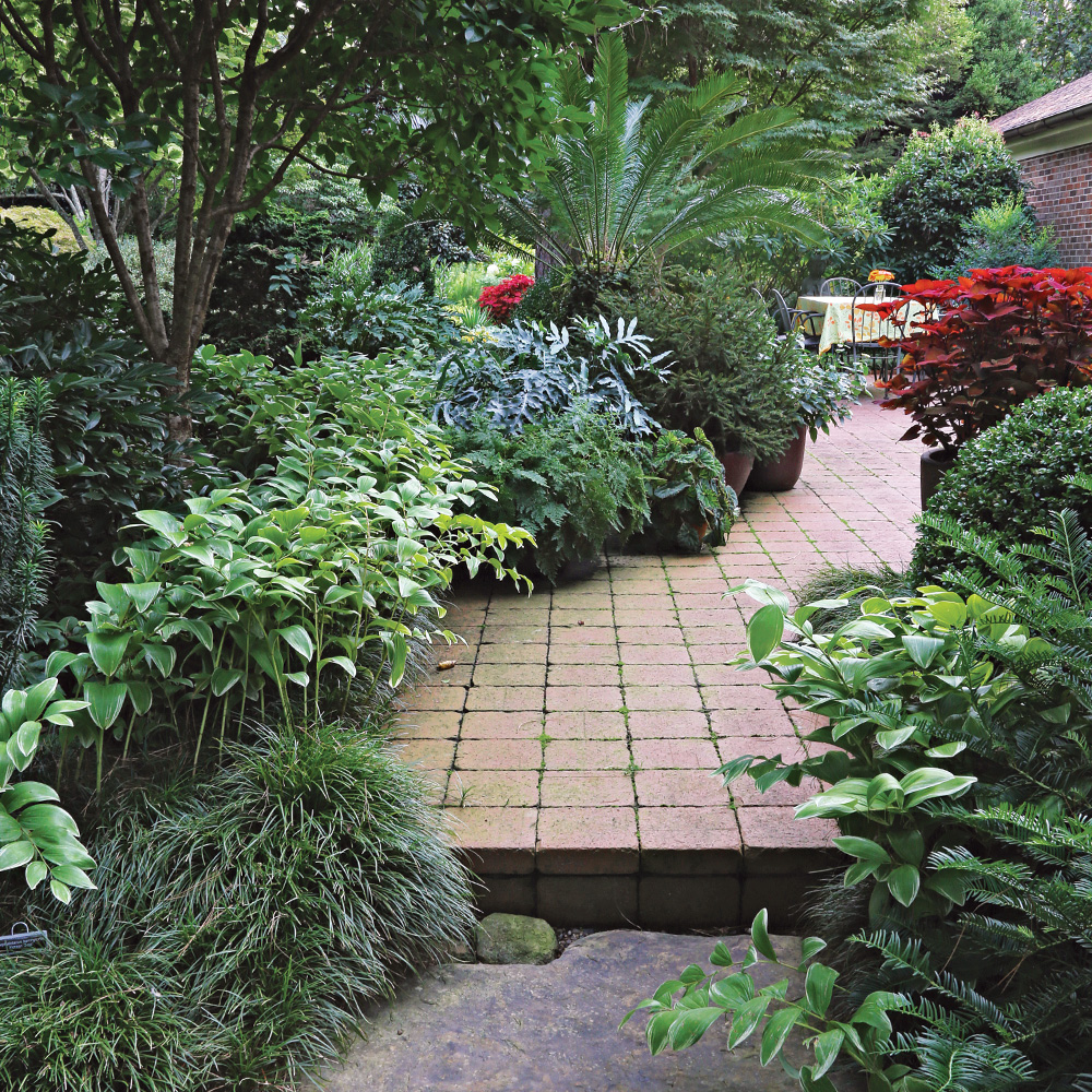 plants with pavers