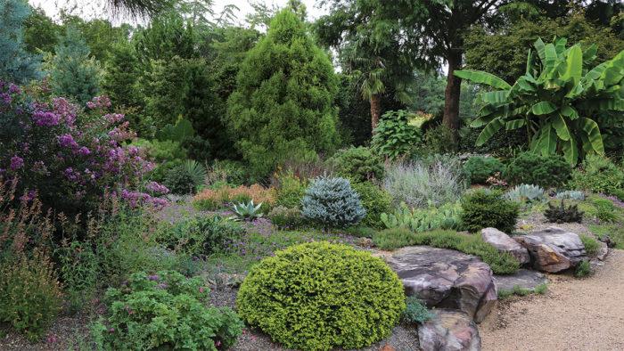 textural elements in the garden