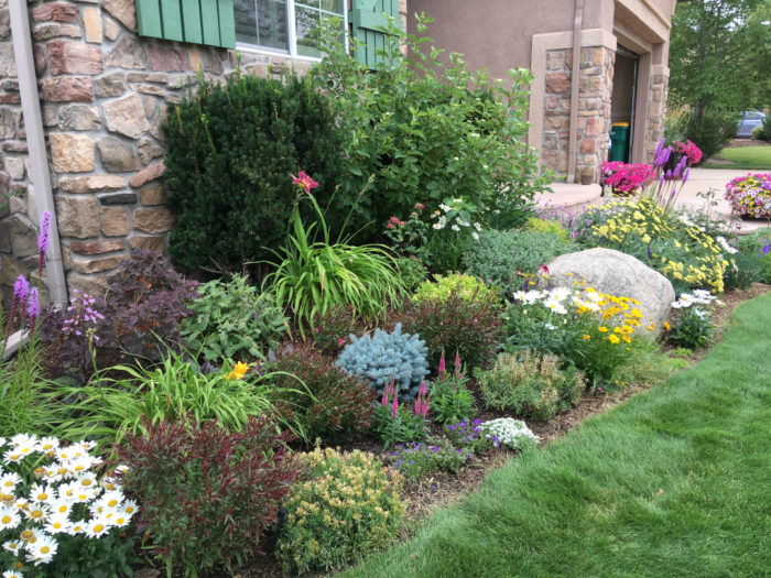 Plant Collecting in Colorado - Fine Gardening