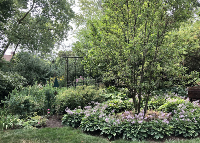 Creating Beauty in Illinois - Fine Gardening