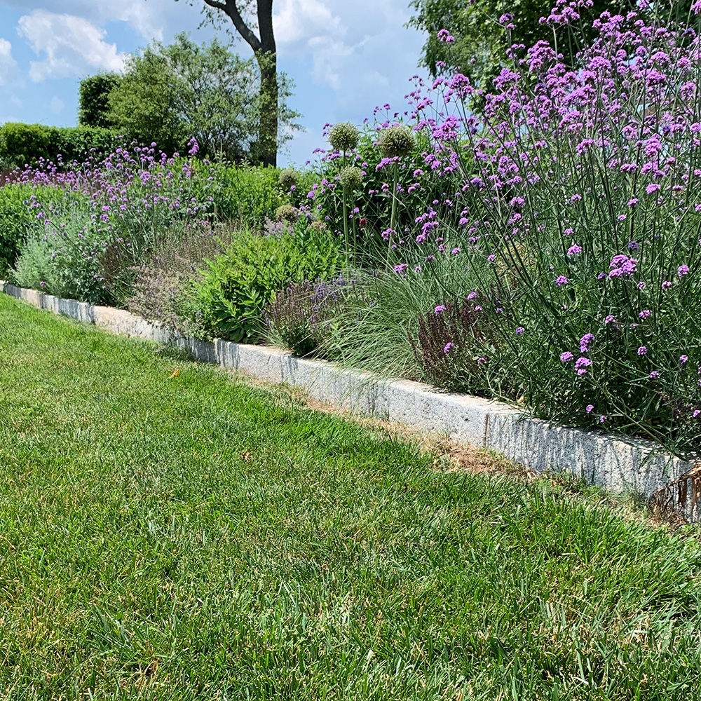 tightly planted garden