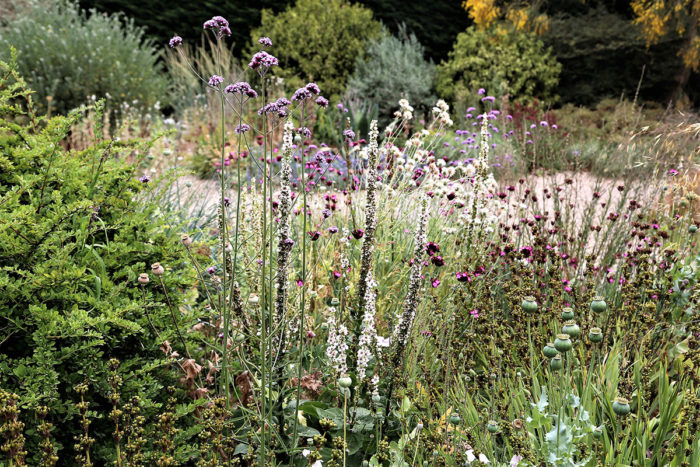 Summer-Dry Gardening, Part 1: A Visit to Beth Chatto’s Gravel Garden ...