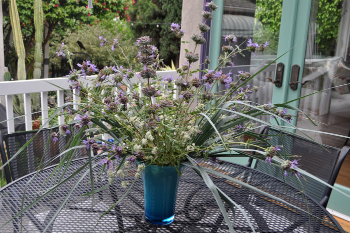 blue flower arrangement