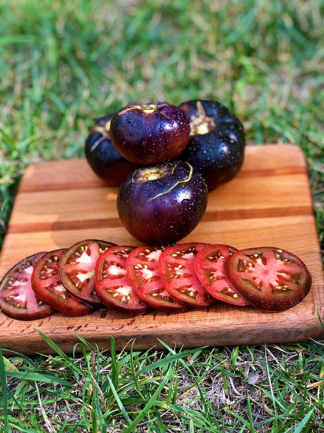 Black Beauty tomato