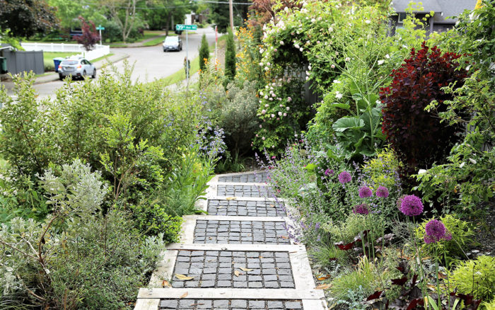 summer-dry garden