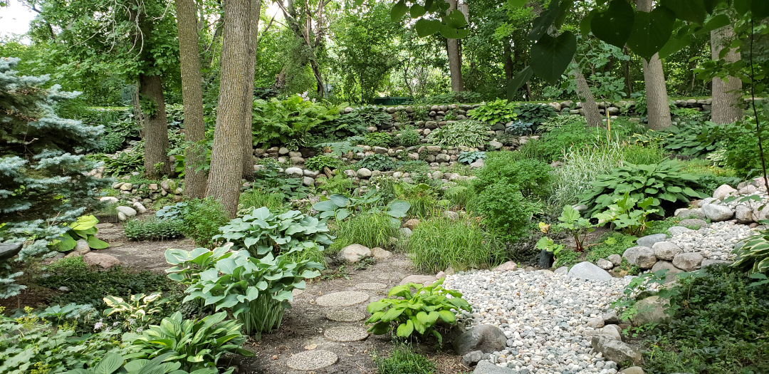 Hosta Heaven in North Dakota - Fine Gardening