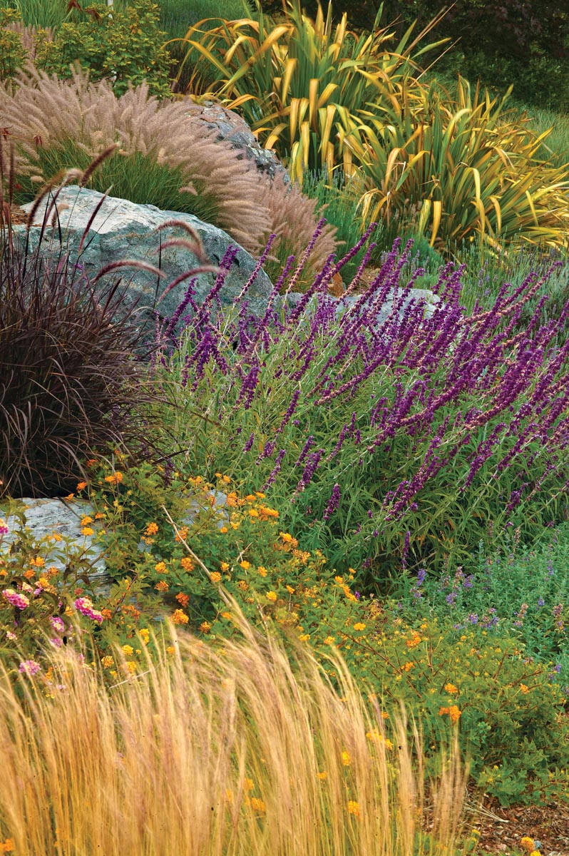 Drought-Tolerant Plant Combinations 2