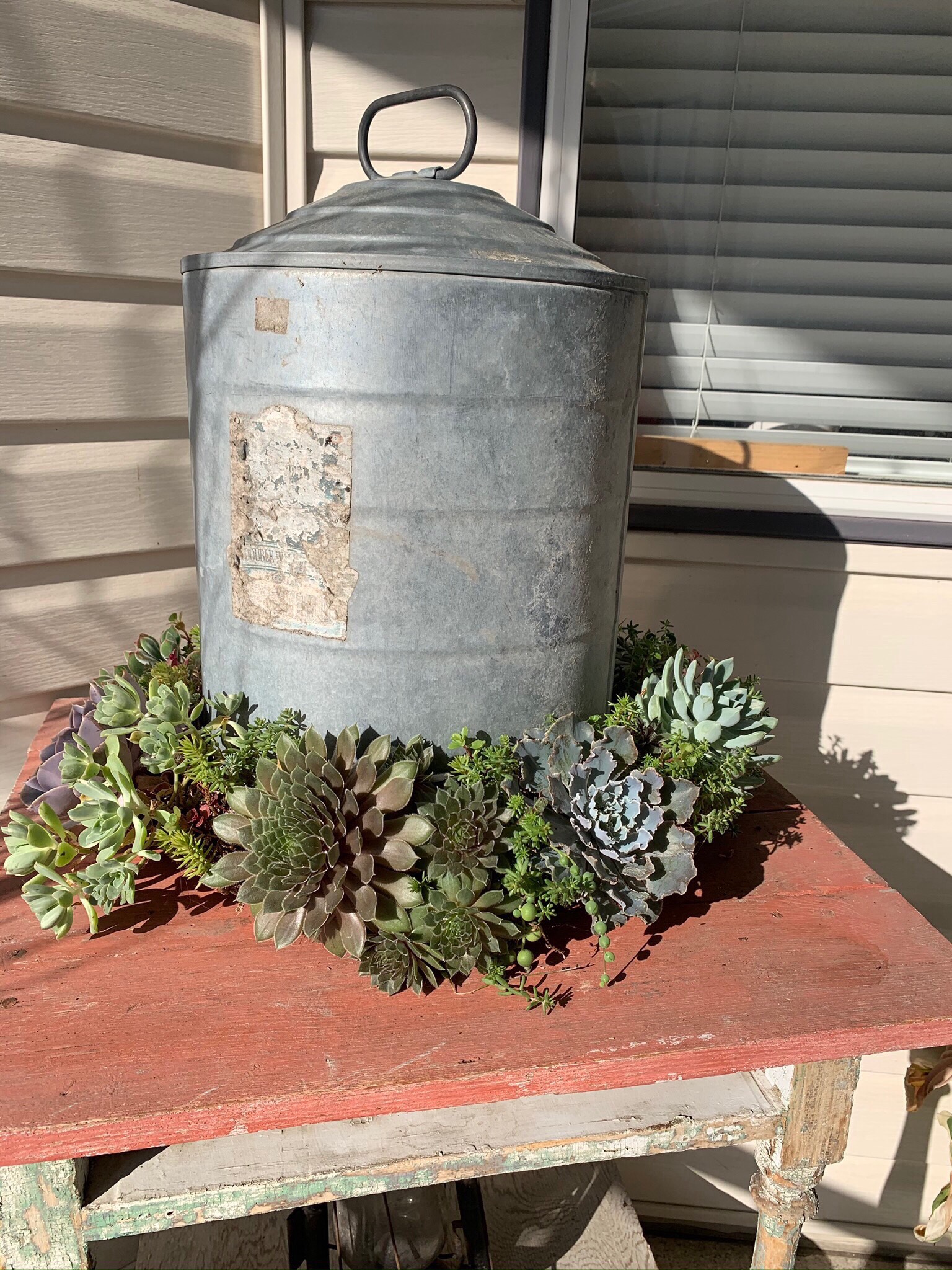 succulent wreath