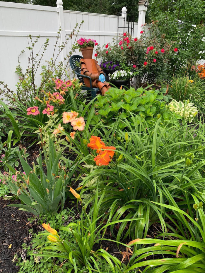 Hydrangeas, Daylilies, and More in Virginia - Fine Gardening