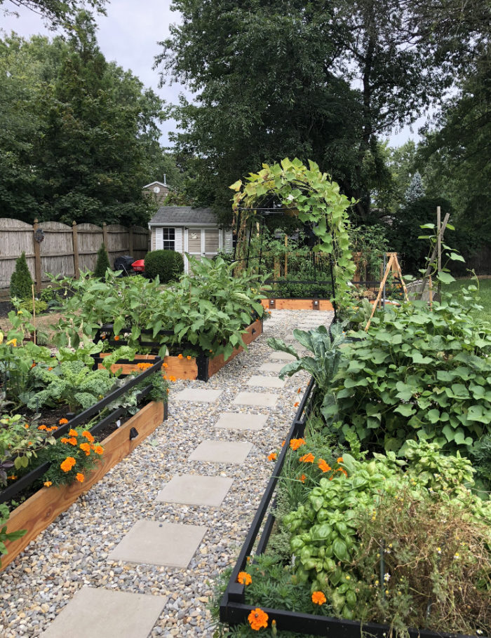 How Much Space Do You Need For a Vegetable Garden? - FineGardening