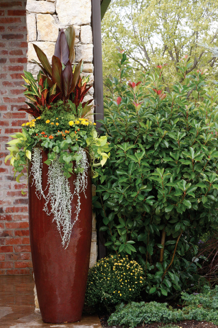 tropical plants in fall containers