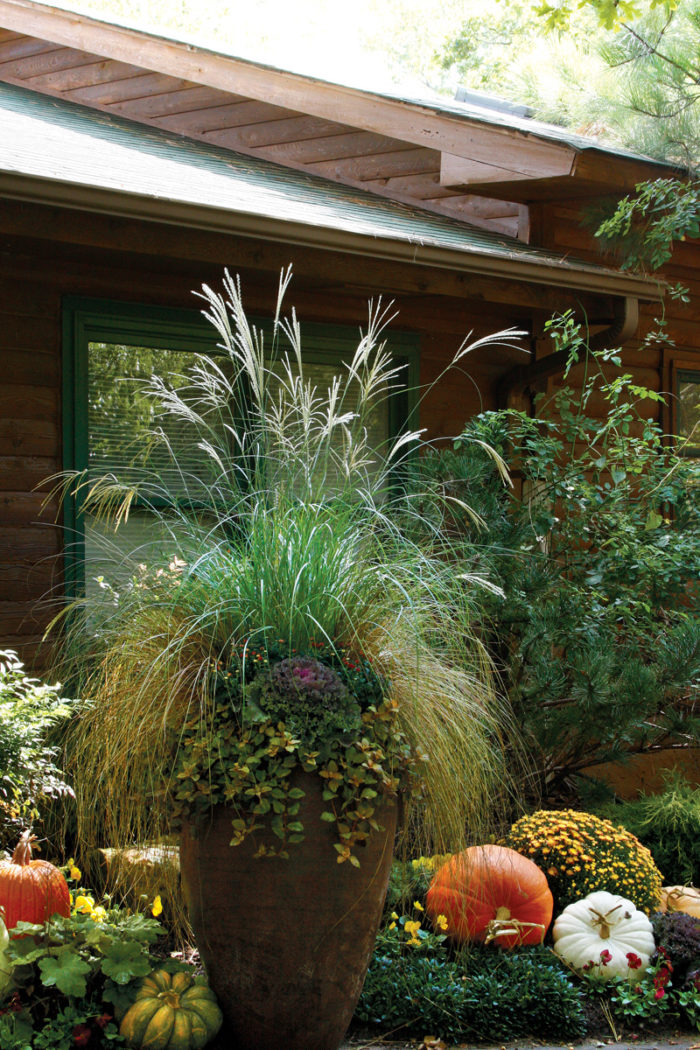 grasses in late-season containers