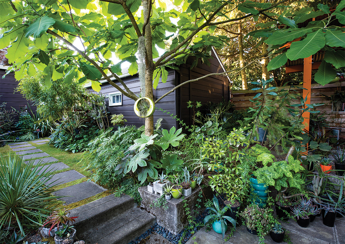 A Cohesive Garden Built From Uncommon Plants - FineGardening