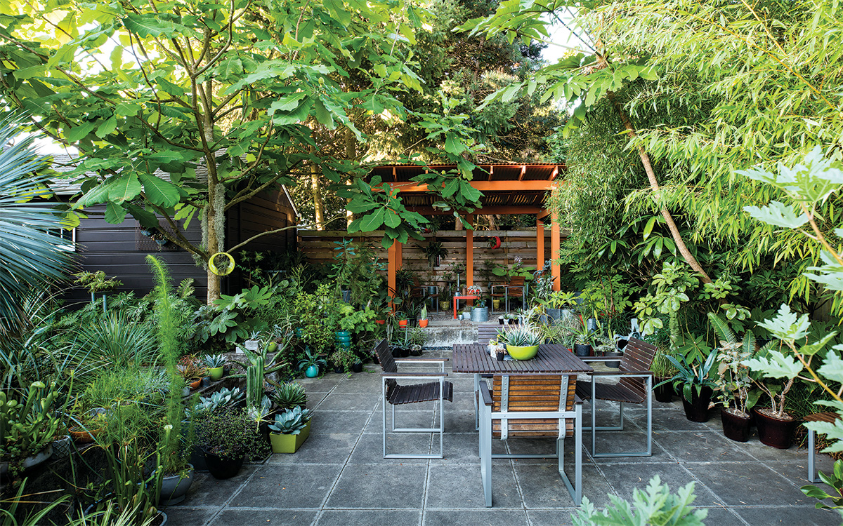 A Cohesive Garden Built From Uncommon Plants - FineGardening