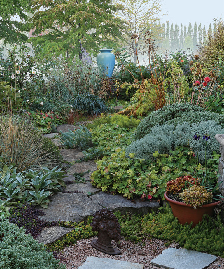 Plants That Freshen Up the Fall Garden - Fine Gardening