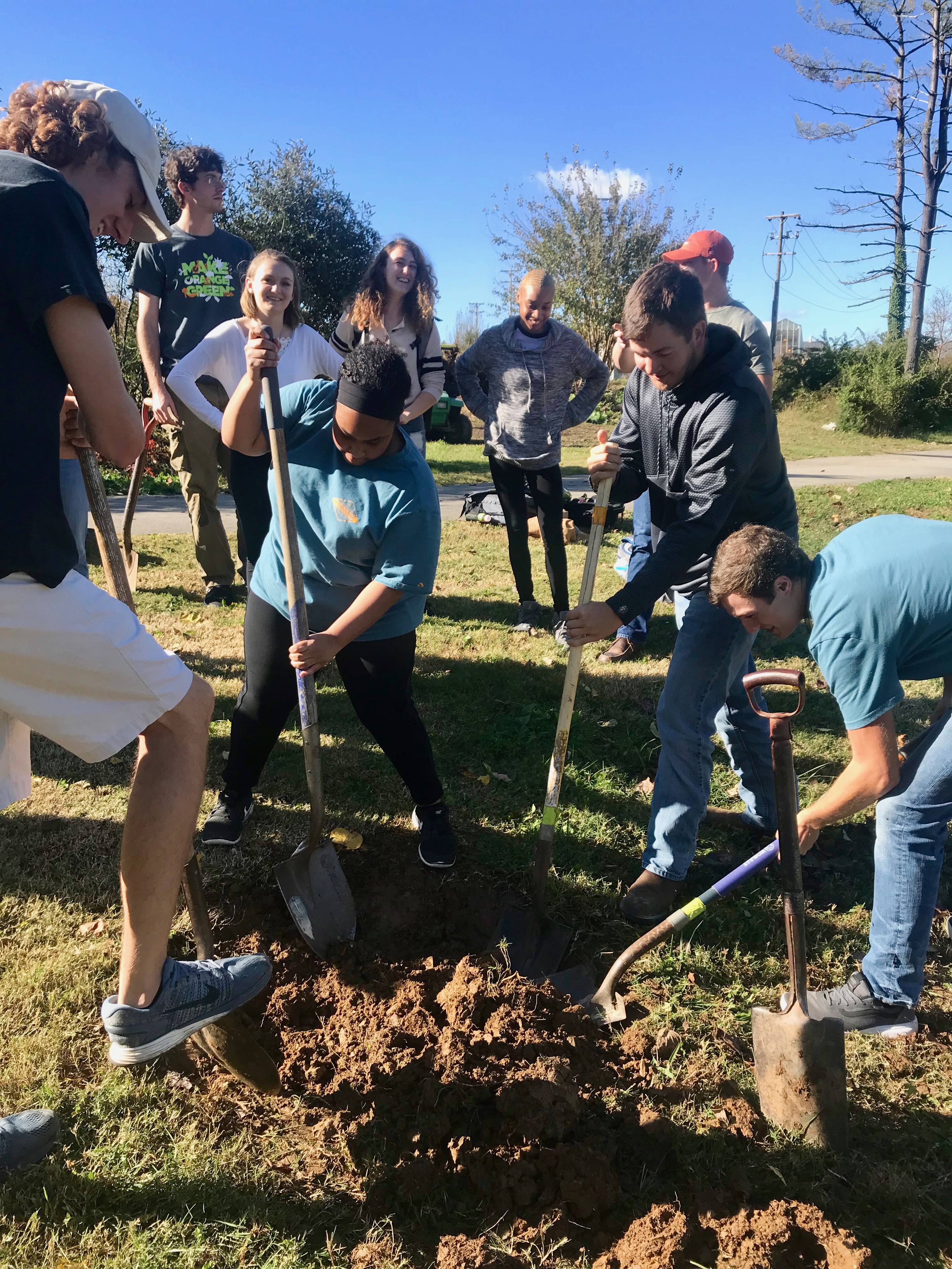 A group of people planting a tree