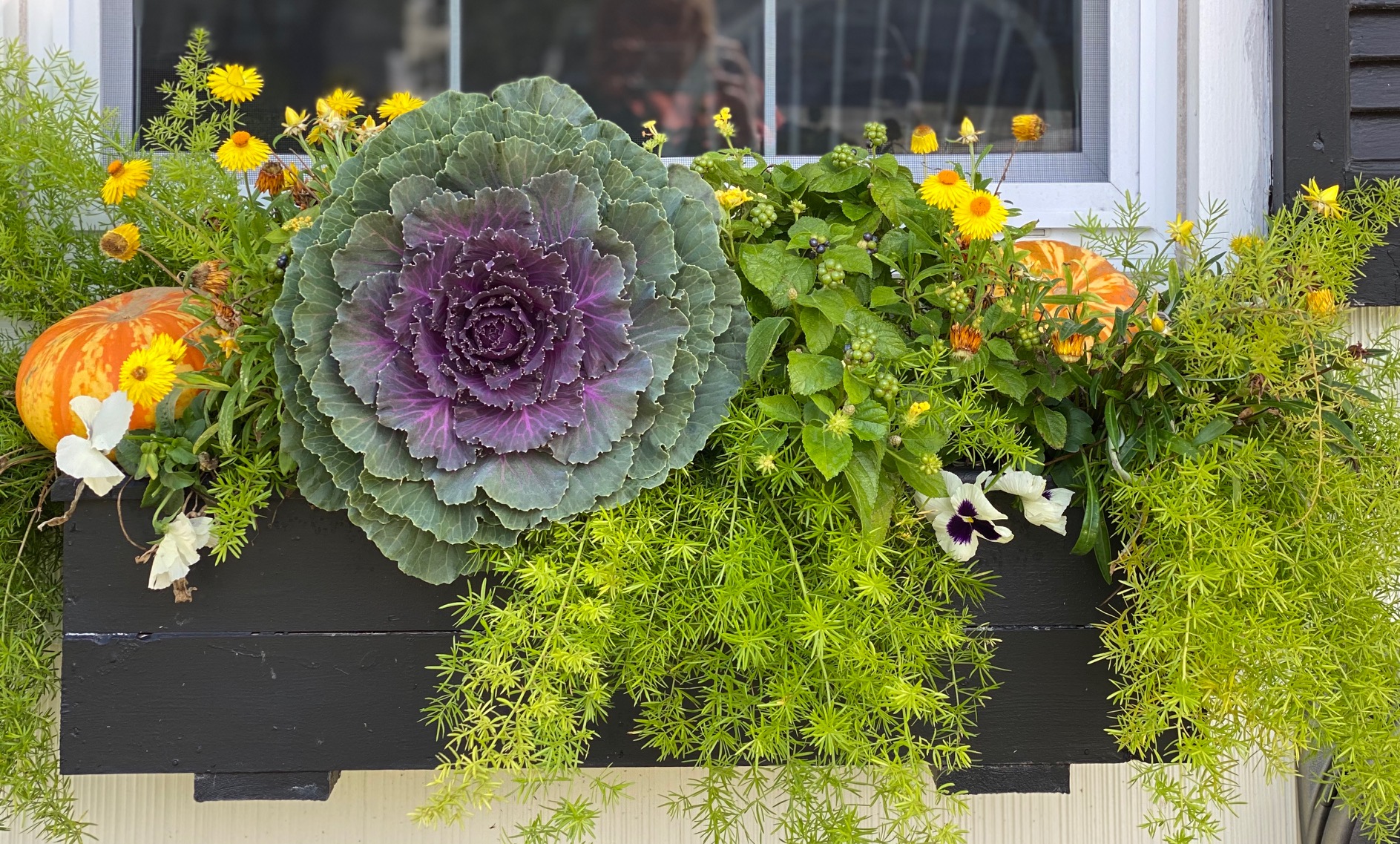 fall window box