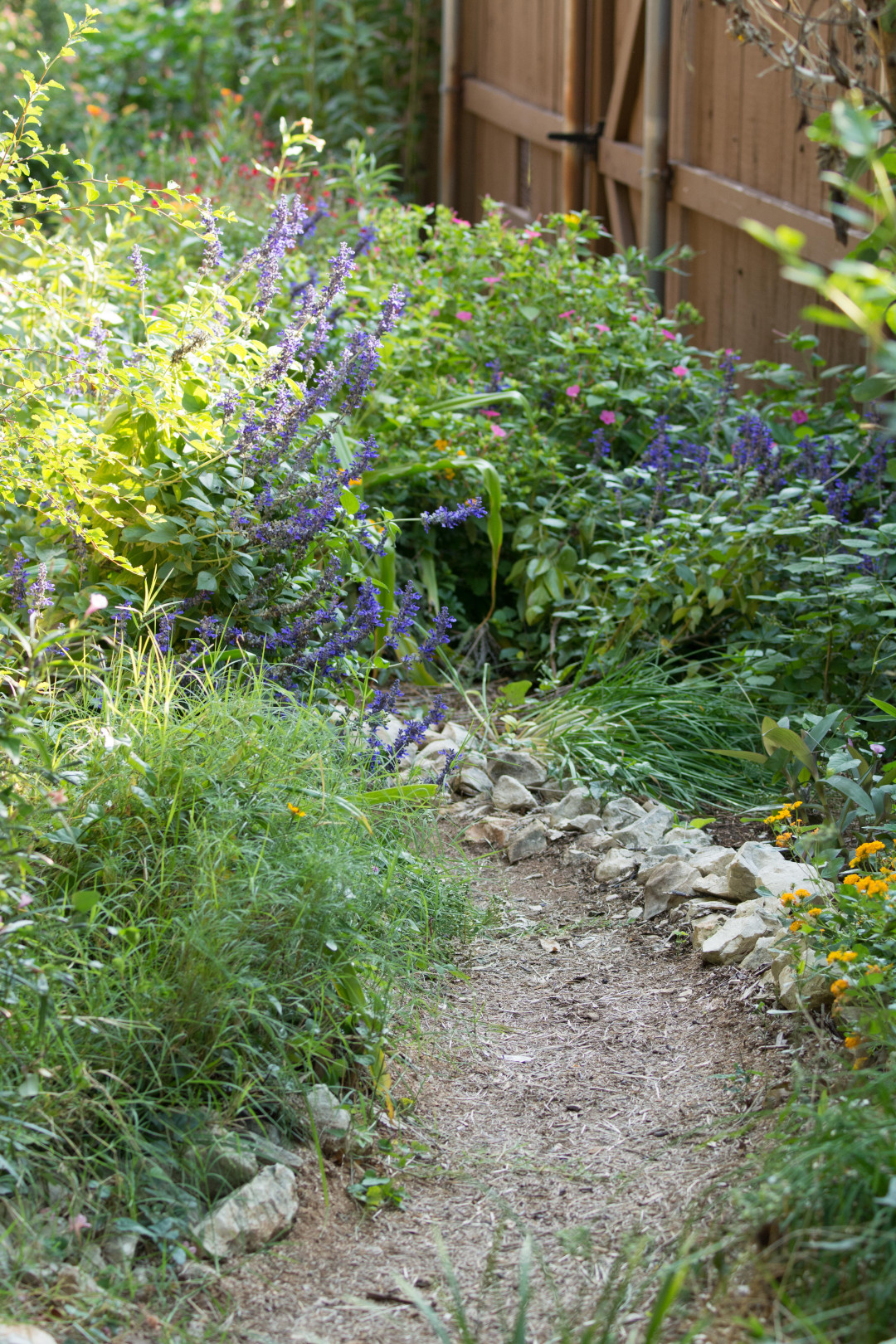 garden path