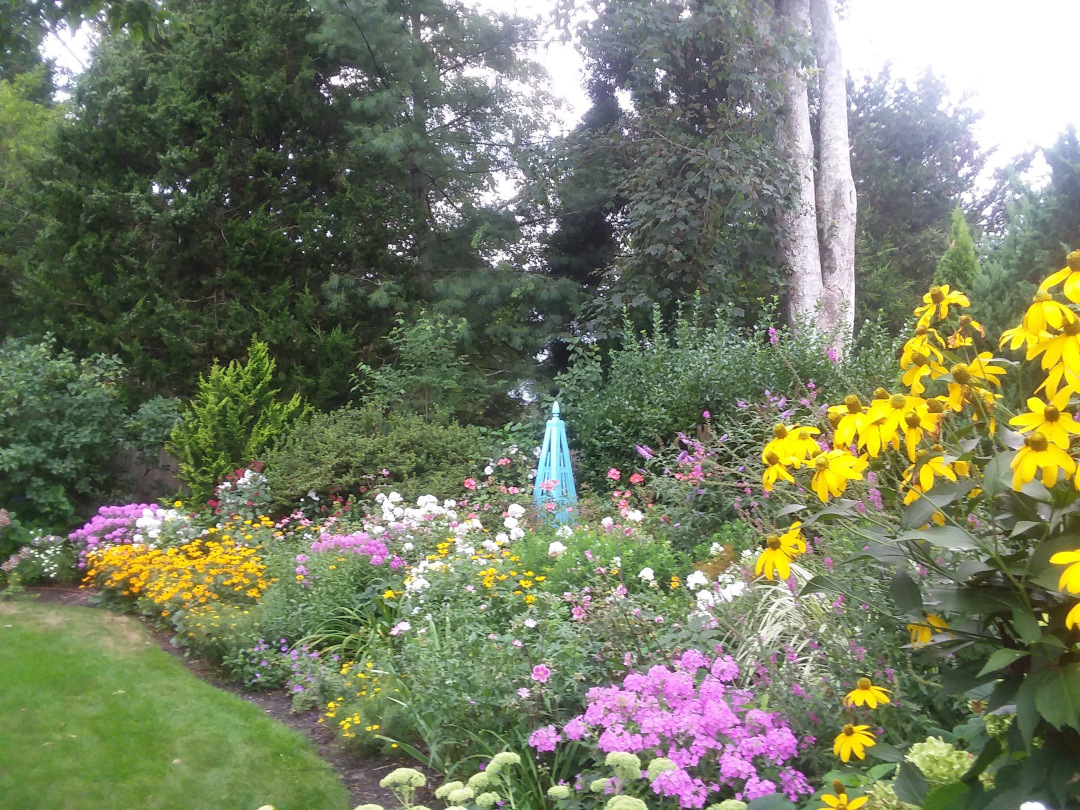 flowering perennials