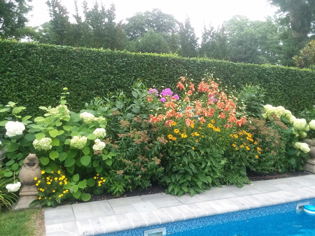 poolside garden